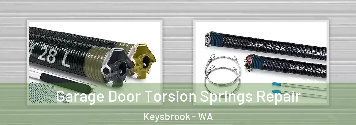 Garage Door Torsion Springs Repair Keysbrook - WA