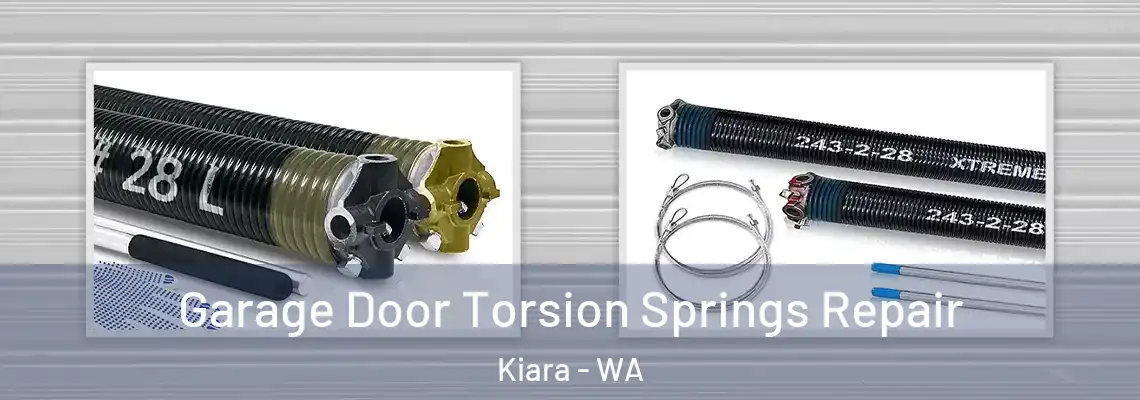 Garage Door Torsion Springs Repair Kiara - WA