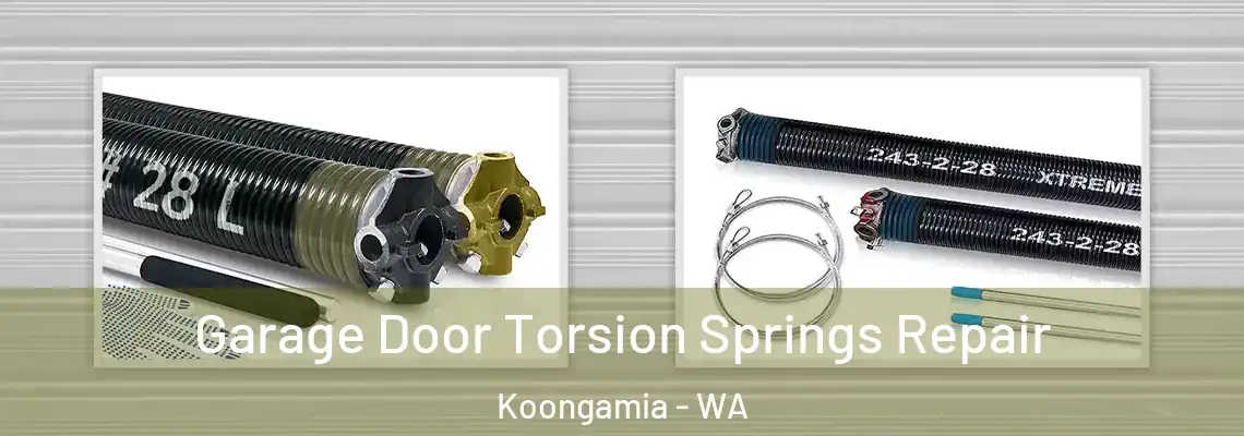 Garage Door Torsion Springs Repair Koongamia - WA