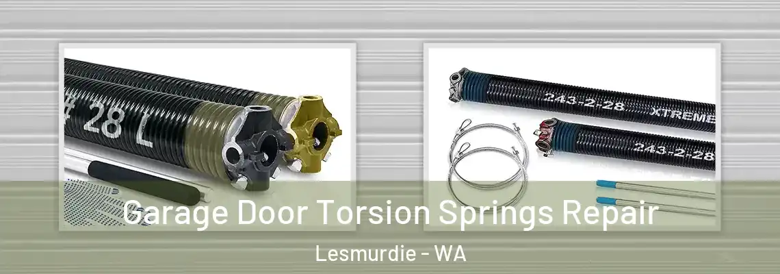 Garage Door Torsion Springs Repair Lesmurdie - WA