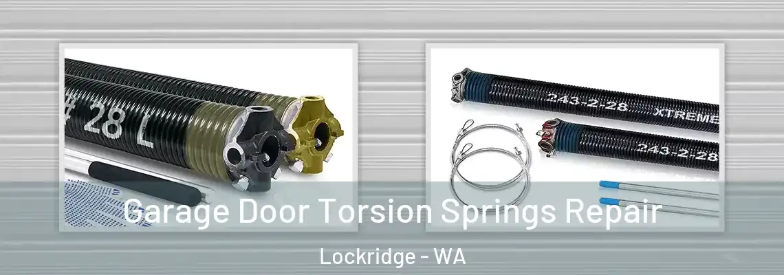 Garage Door Torsion Springs Repair Lockridge - WA