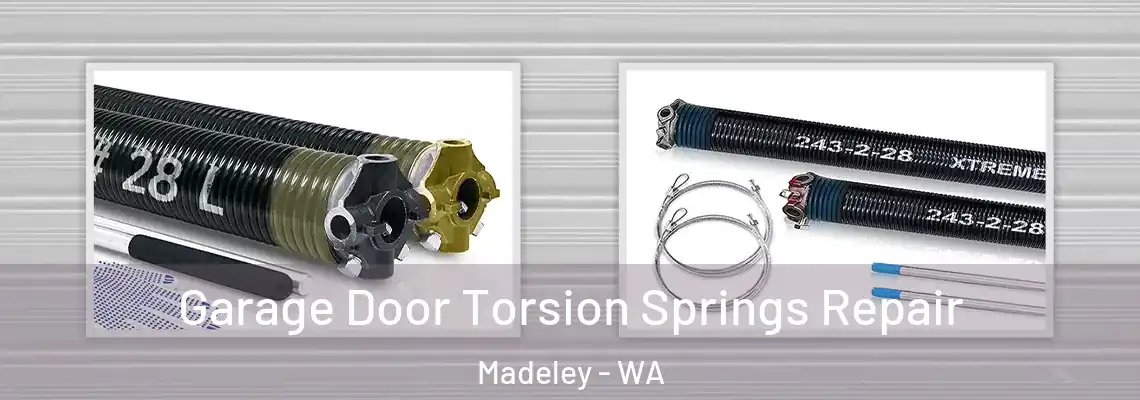 Garage Door Torsion Springs Repair Madeley - WA
