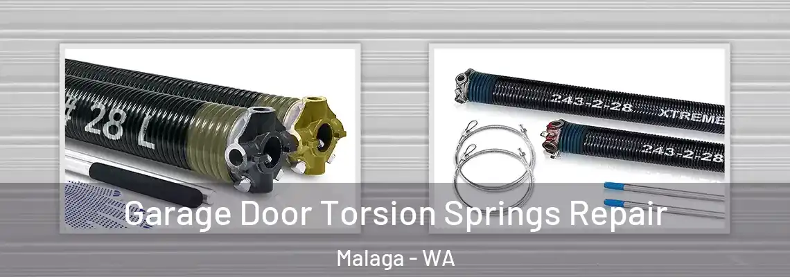 Garage Door Torsion Springs Repair Malaga - WA