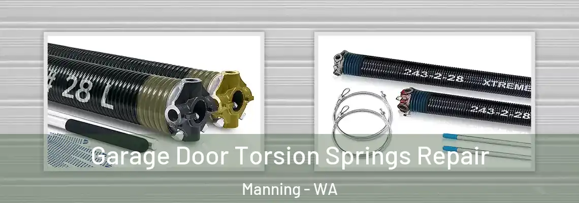  Garage Door Torsion Springs Repair Manning - WA