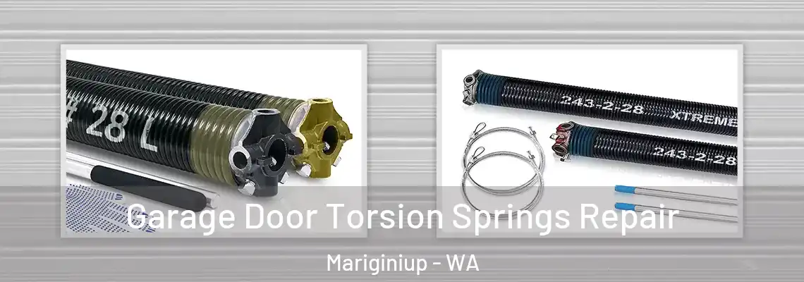  Garage Door Torsion Springs Repair Mariginiup - WA