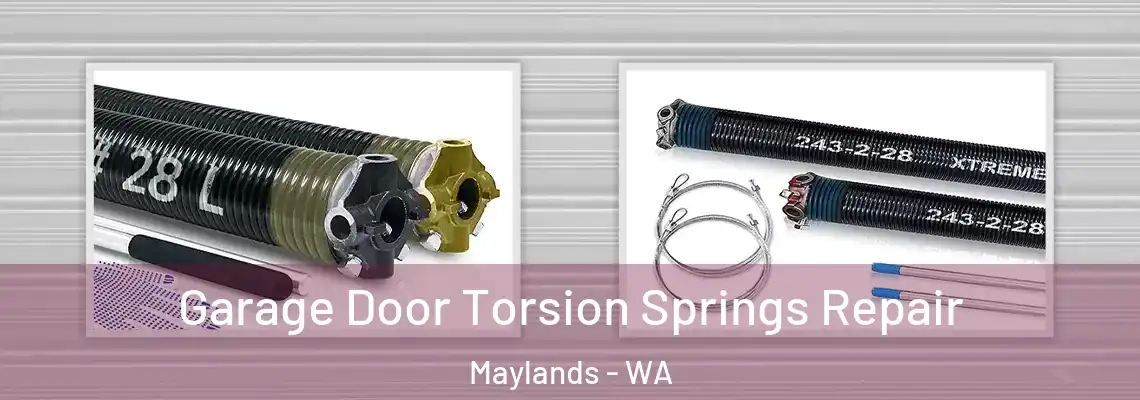 Garage Door Torsion Springs Repair Maylands - WA