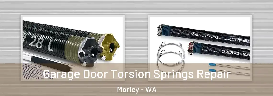  Garage Door Torsion Springs Repair Morley - WA
