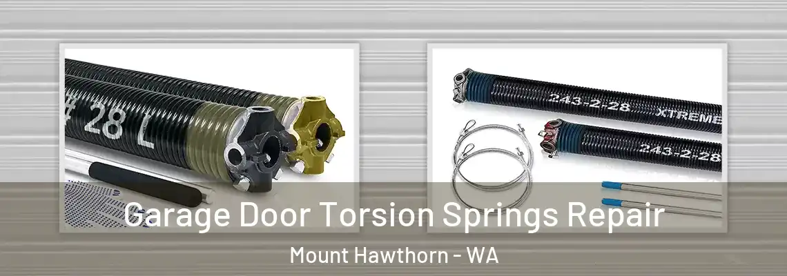 Garage Door Torsion Springs Repair Mount Hawthorn - WA
