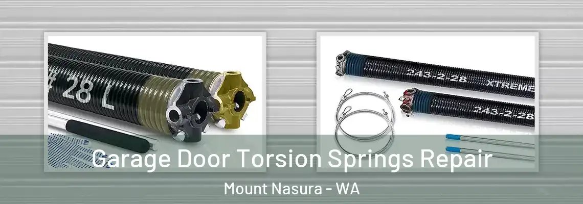 Garage Door Torsion Springs Repair Mount Nasura - WA