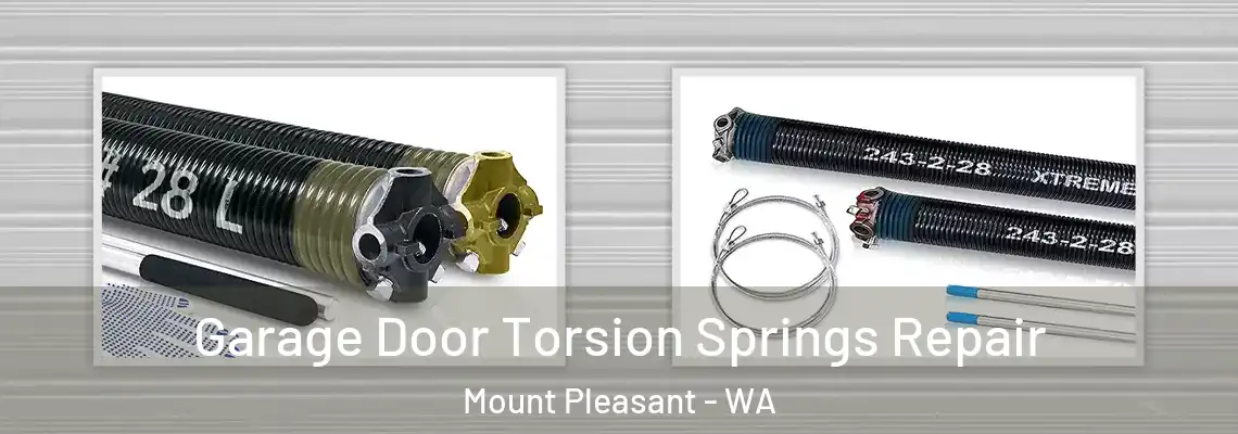 Garage Door Torsion Springs Repair Mount Pleasant - WA
