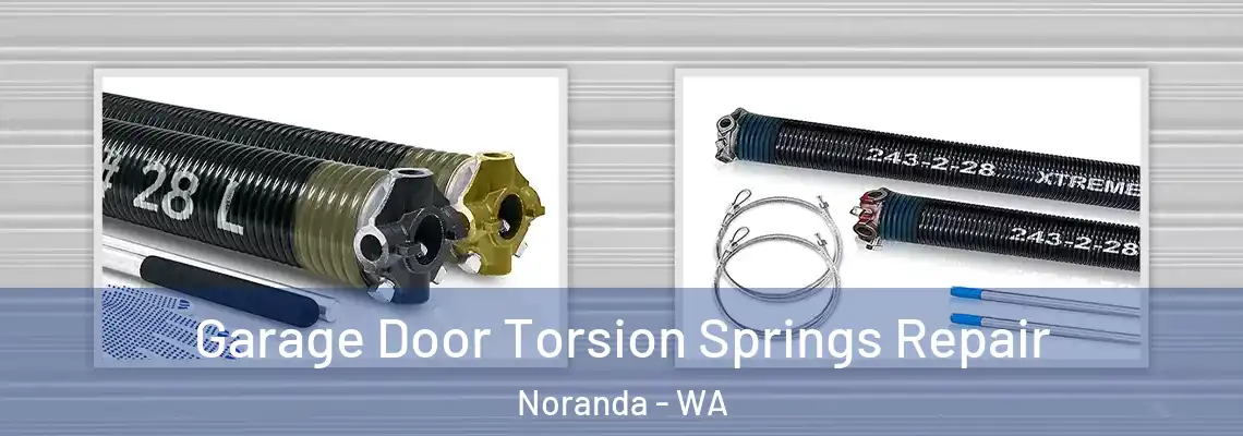Garage Door Torsion Springs Repair Noranda - WA