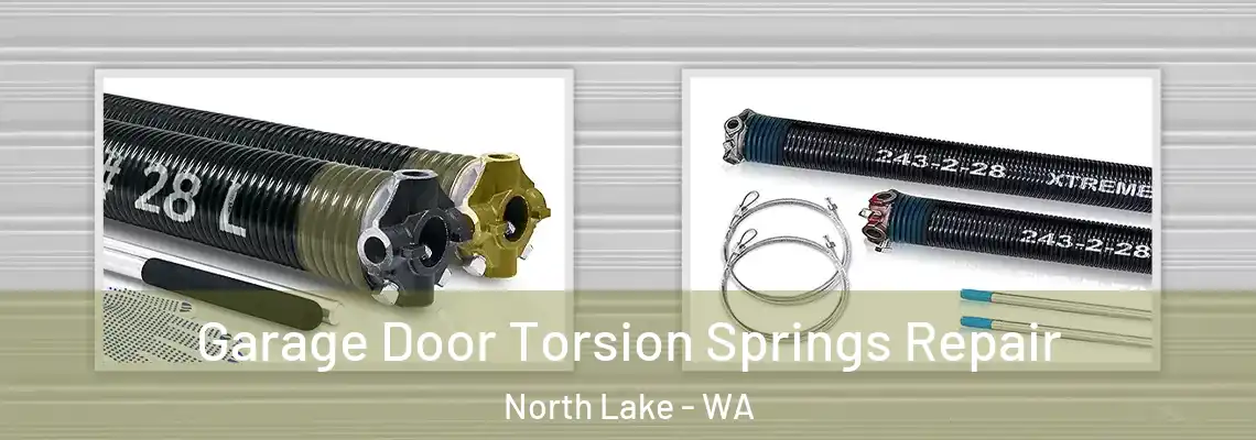 Garage Door Torsion Springs Repair North Lake - WA