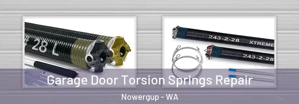 Garage Door Torsion Springs Repair Nowergup - WA