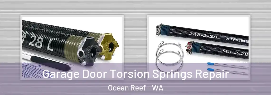 Garage Door Torsion Springs Repair Ocean Reef - WA
