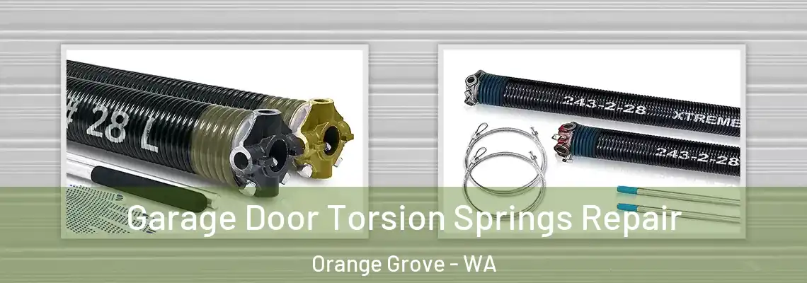 Garage Door Torsion Springs Repair Orange Grove - WA