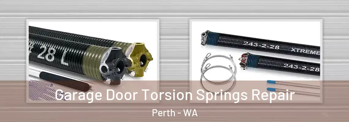 Garage Door Torsion Springs Repair Perth - WA