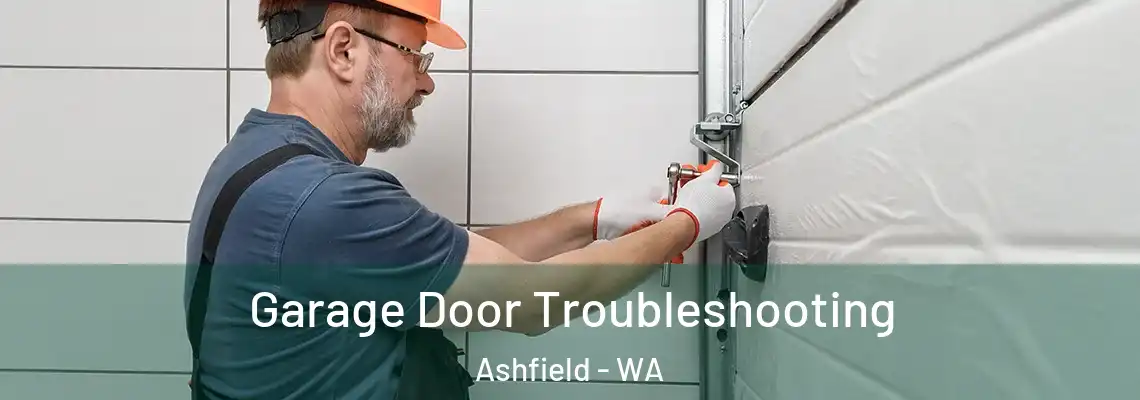 Garage Door Troubleshooting Ashfield - WA