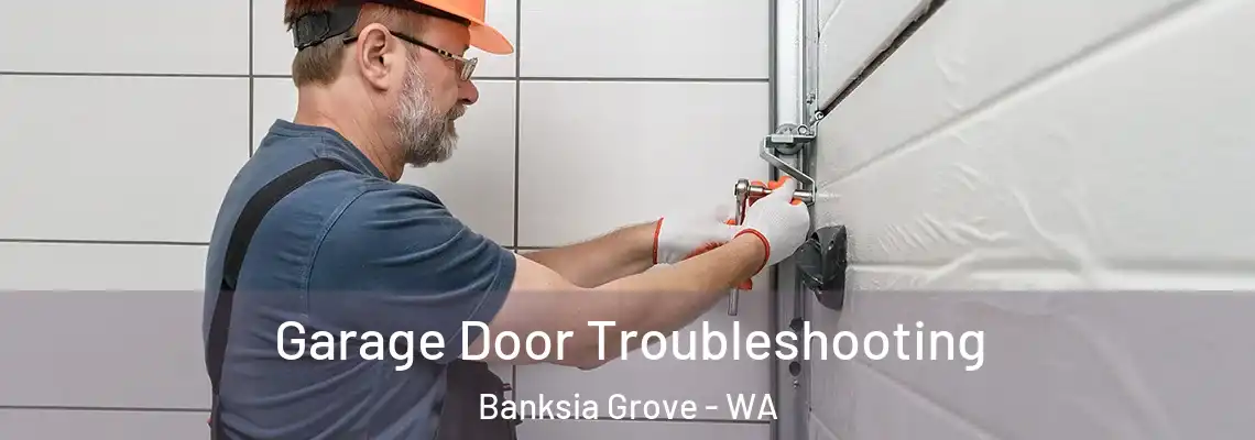 Garage Door Troubleshooting Banksia Grove - WA