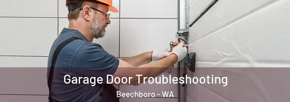 Garage Door Troubleshooting Beechboro - WA