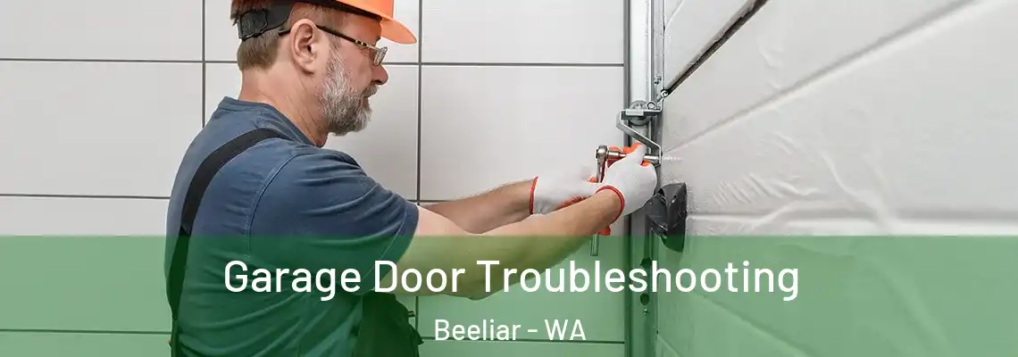 Garage Door Troubleshooting Beeliar - WA