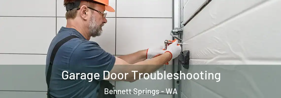  Garage Door Troubleshooting Bennett Springs - WA