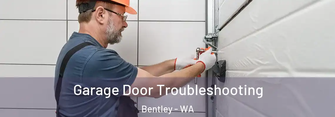  Garage Door Troubleshooting Bentley - WA
