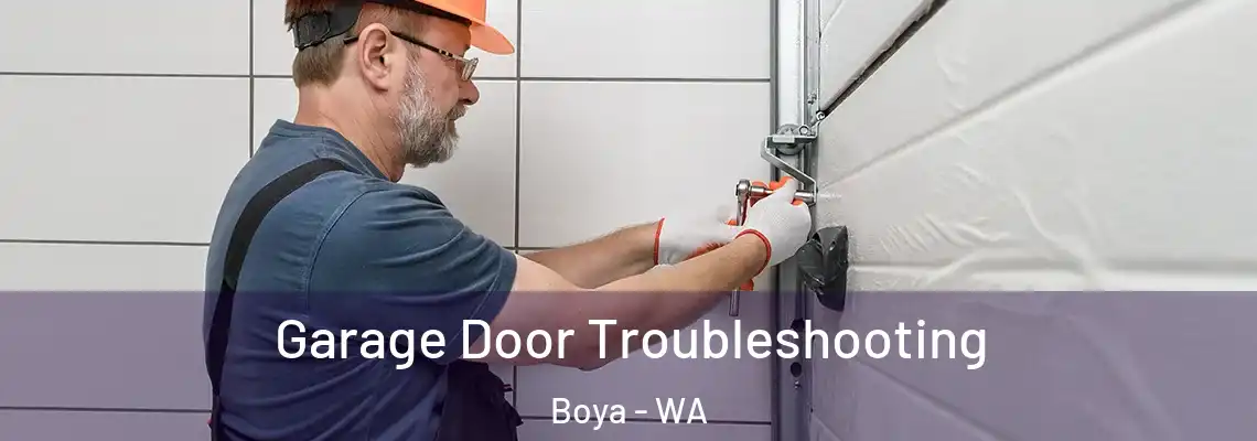 Garage Door Troubleshooting Boya - WA