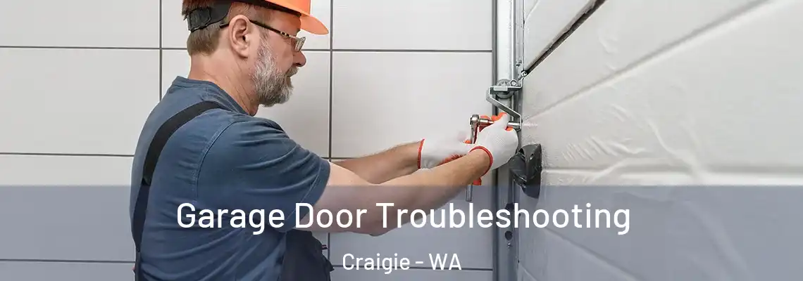 Garage Door Troubleshooting Craigie - WA