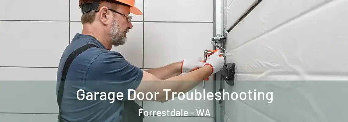 Garage Door Troubleshooting Forrestdale - WA