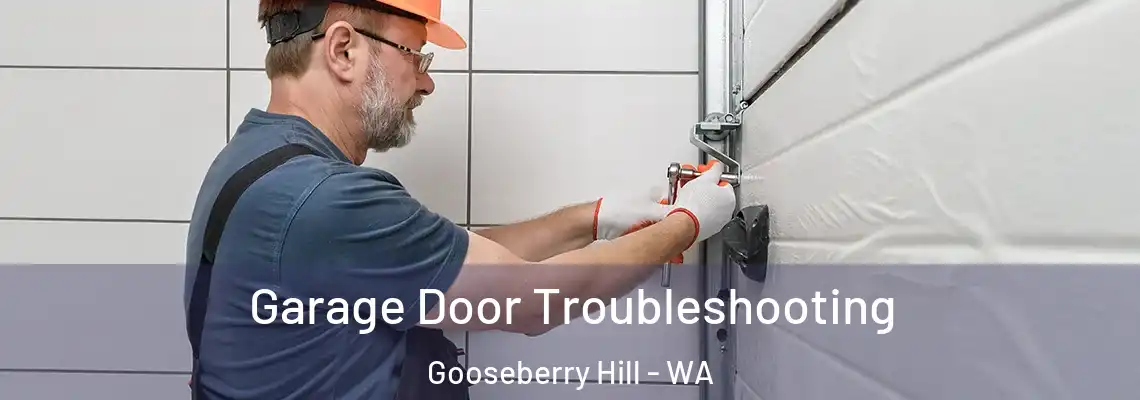 Garage Door Troubleshooting Gooseberry Hill - WA