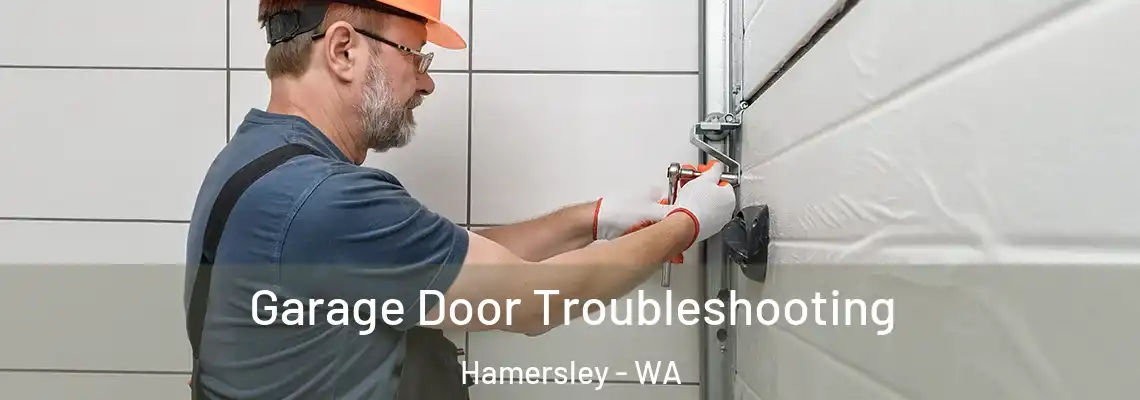Garage Door Troubleshooting Hamersley - WA