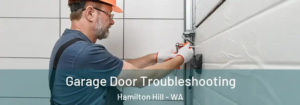 Garage Door Troubleshooting Hamilton Hill - WA