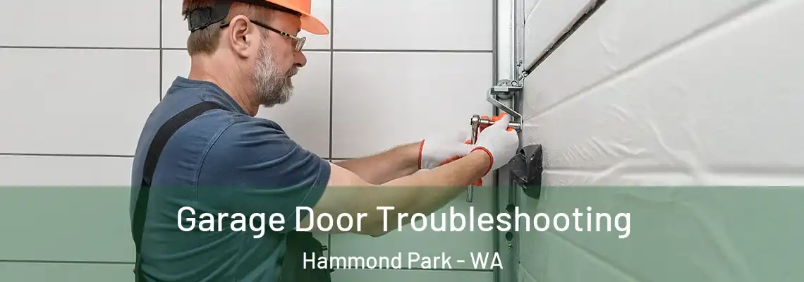 Garage Door Troubleshooting Hammond Park - WA