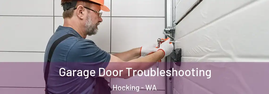 Garage Door Troubleshooting Hocking - WA