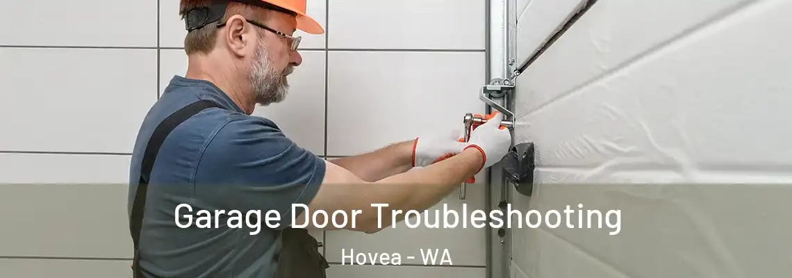 Garage Door Troubleshooting Hovea - WA