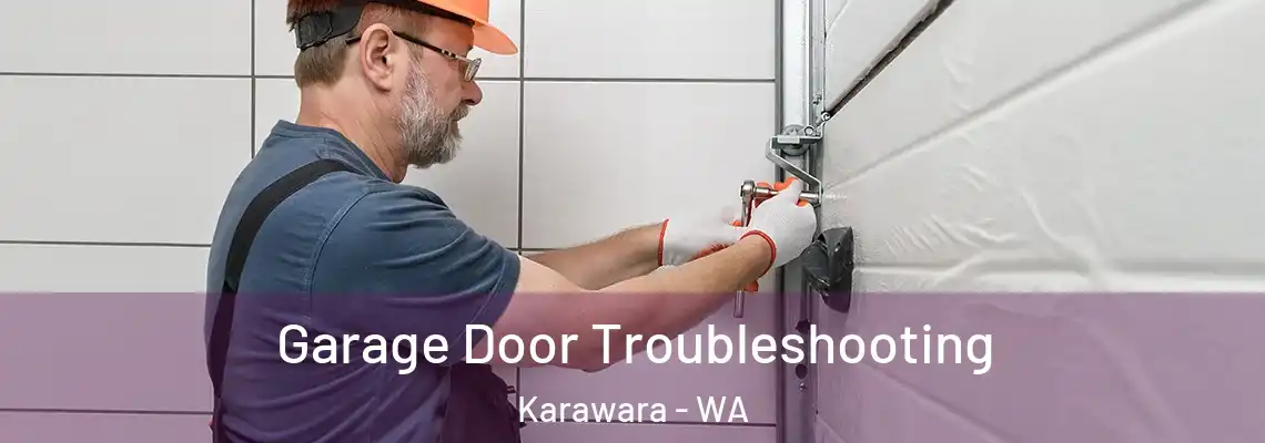 Garage Door Troubleshooting Karawara - WA