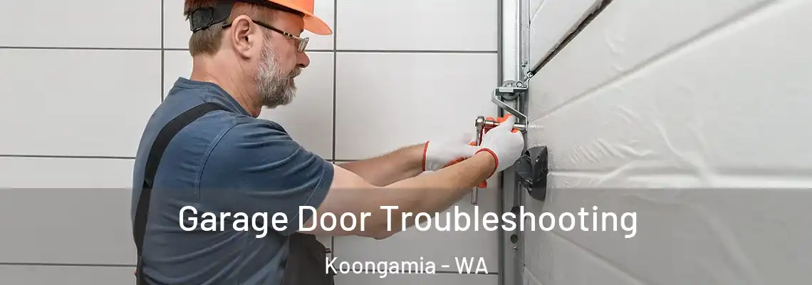 Garage Door Troubleshooting Koongamia - WA