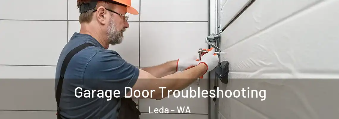 Garage Door Troubleshooting Leda - WA