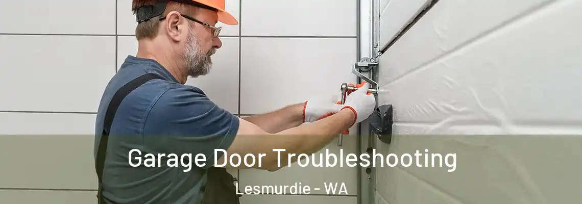 Garage Door Troubleshooting Lesmurdie - WA