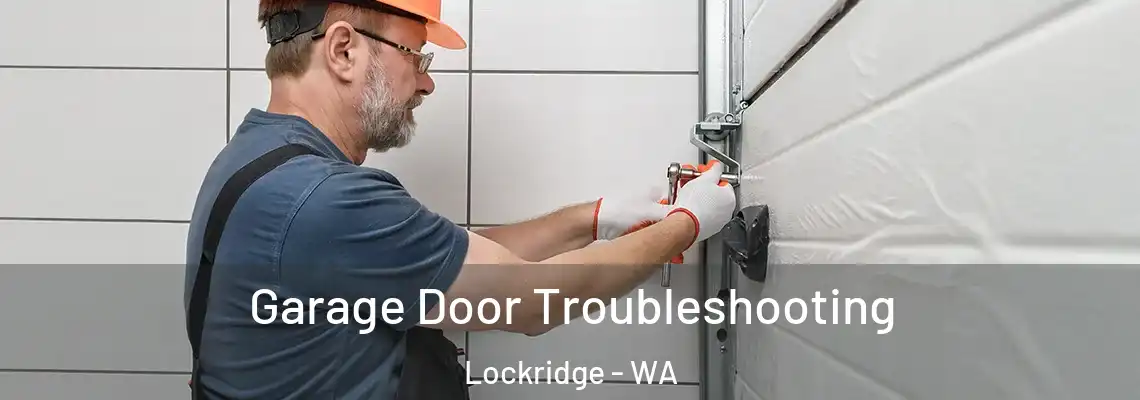 Garage Door Troubleshooting Lockridge - WA