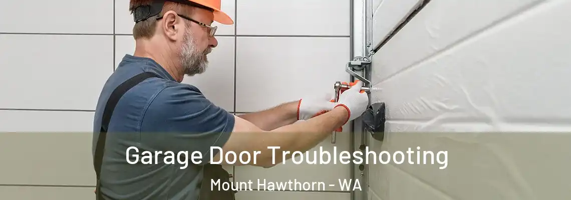 Garage Door Troubleshooting Mount Hawthorn - WA