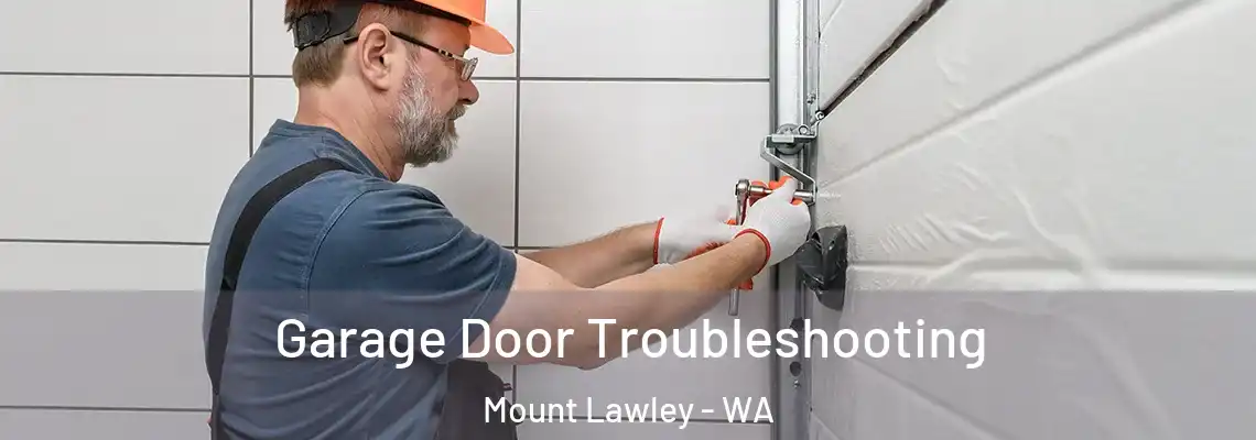 Garage Door Troubleshooting Mount Lawley - WA