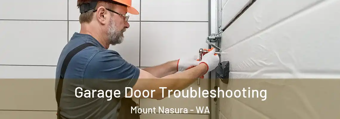 Garage Door Troubleshooting Mount Nasura - WA