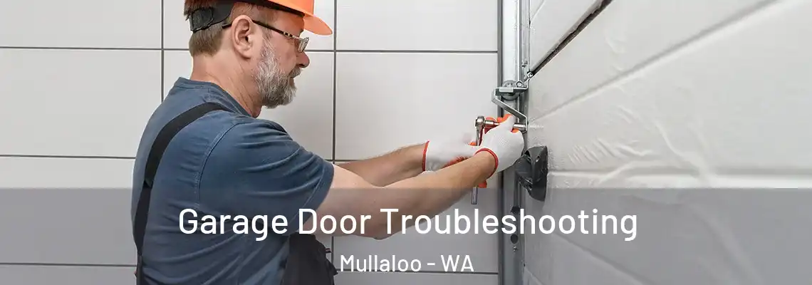 Garage Door Troubleshooting Mullaloo - WA