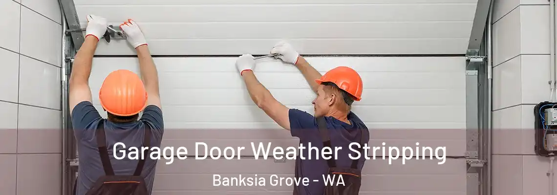 Garage Door Weather Stripping Banksia Grove - WA