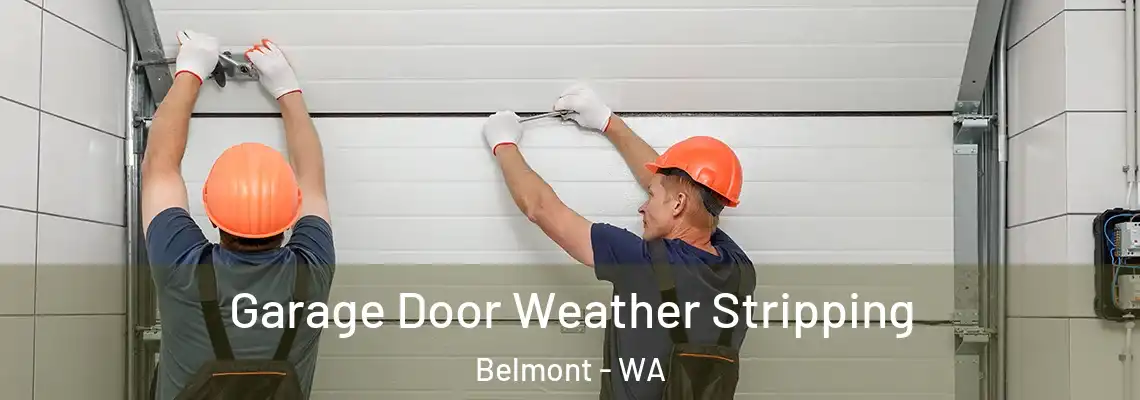 Garage Door Weather Stripping Belmont - WA