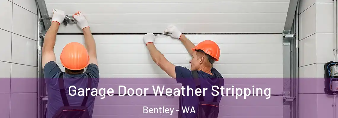 Garage Door Weather Stripping Bentley - WA