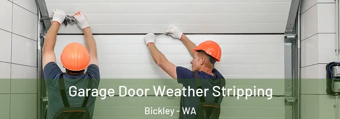 Garage Door Weather Stripping Bickley - WA