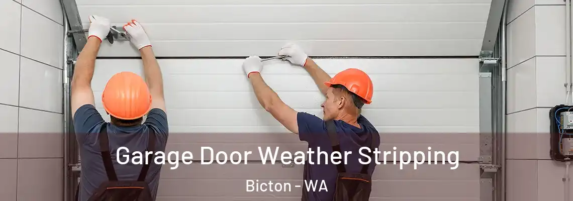 Garage Door Weather Stripping Bicton - WA