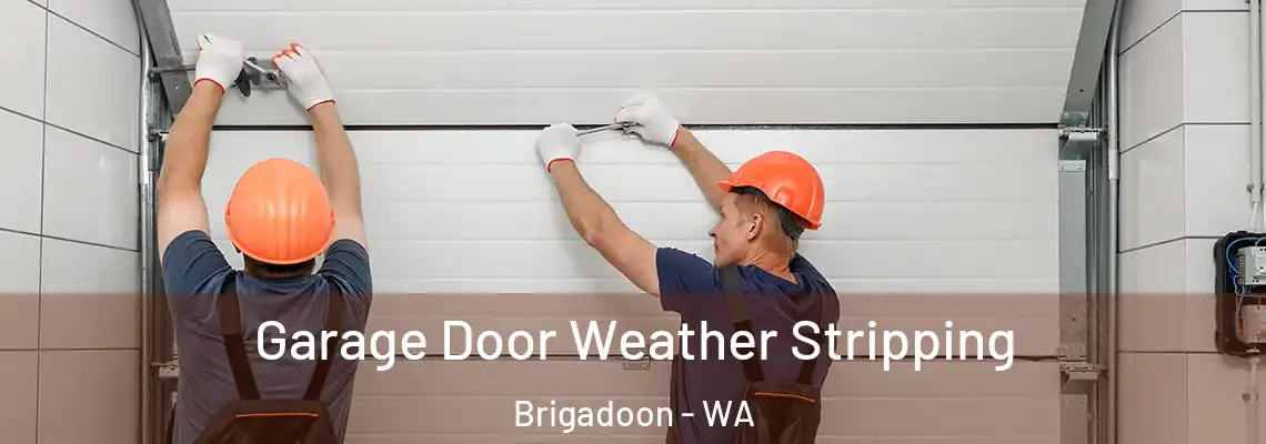 Garage Door Weather Stripping Brigadoon - WA